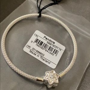 Shine Bright Pandora Mesh Bangle Shine Bright Pandora Mesh Bangle
